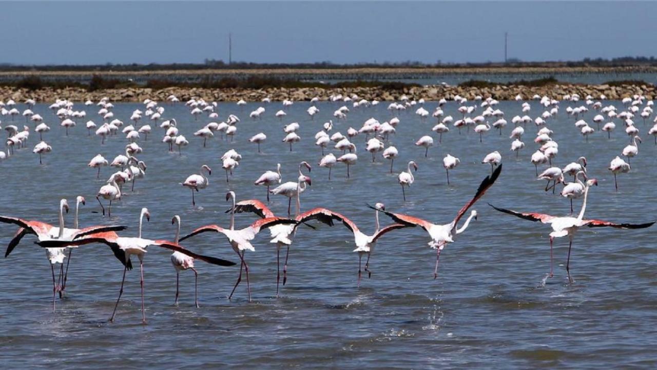 L'Hippocampe Διαμέρισμα Σετ Εξωτερικό φωτογραφία